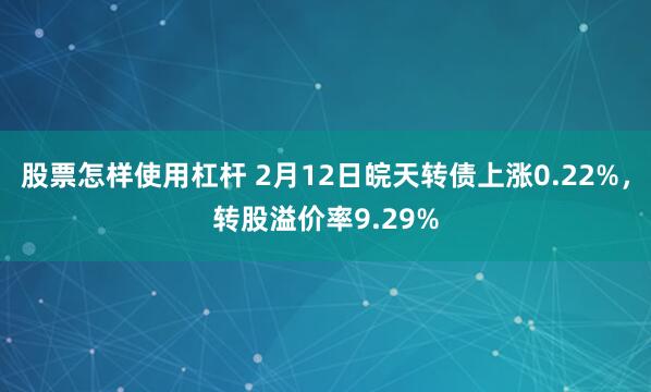 股票怎样使用杠杆 2月12日皖天转债上涨0.22%，转股溢价率9.29%