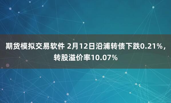 期货模拟交易软件 2月12日沿浦转债下跌0.21%，转股溢价率10.07%