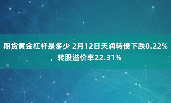 期货黄金杠杆是多少 2月12日天润转债下跌0.22%，转股溢价率22.31%