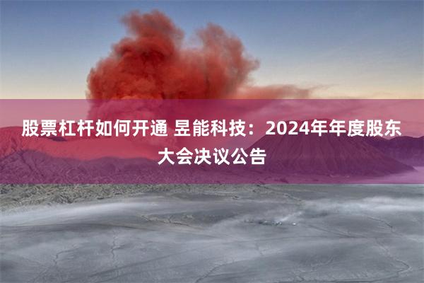 股票杠杆如何开通 昱能科技：2024年年度股东大会决议公告