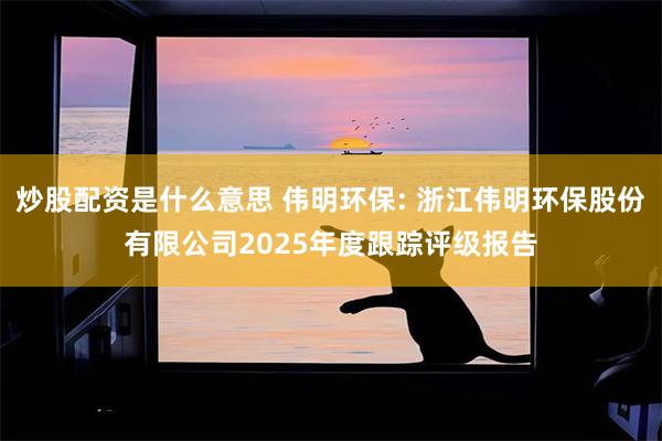 炒股配资是什么意思 伟明环保: 浙江伟明环保股份有限公司2025年度跟踪评级报告